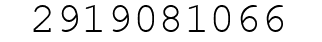 Number 2919081066.