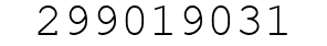 Number 299019031.