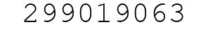 Number 299019063.
