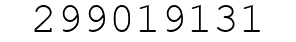 Number 299019131.