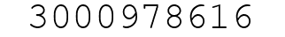 Number 3000978616.