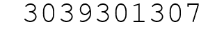 Number 3039301307.