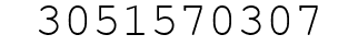 Number 3051570307.