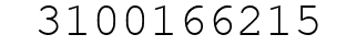 Number 3100166215.