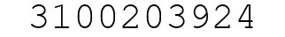 Number 3100203924.