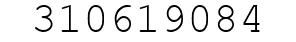 Number 310619084.