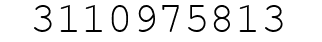 Number 3110975813.
