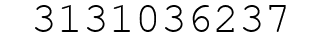 Number 3131036237.