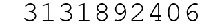 Number 3131892406.