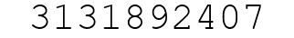 Number 3131892407.