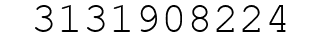Number 3131908224.