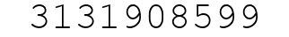 Number 3131908599.