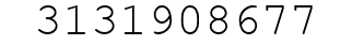 Number 3131908677.
