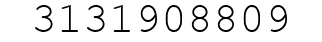 Number 3131908809.