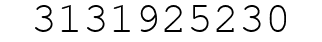 Number 3131925230.