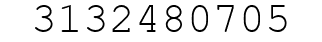 Number 3132480705.