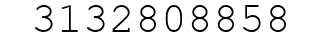 Number 3132808858.