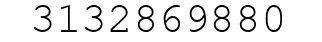 Number 3132869880.