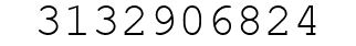 Number 3132906824.