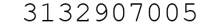Number 3132907005.