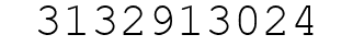 Number 3132913024.