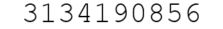 Number 3134190856.