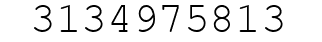 Number 3134975813.
