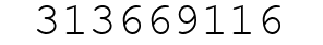 Number 313669116.