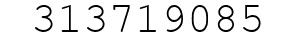 Number 313719085.