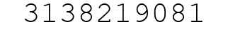 Number 3138219081.