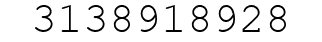 Number 3138918928.