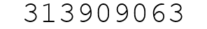 Number 313909063.