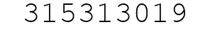Number 315313019.