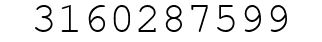 Number 3160287599.