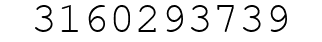 Number 3160293739.