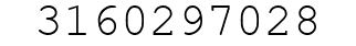 Number 3160297028.