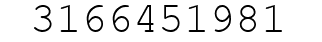Number 3166451981.