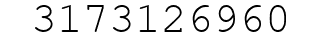 Number 3173126960.