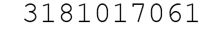 Number 3181017061.