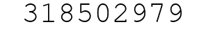 Number 318502979.