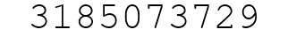 Number 3185073729.