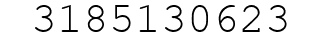 Number 3185130623.