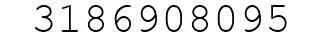 Number 3186908095.
