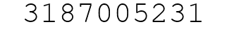 Number 3187005231.