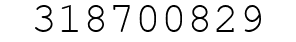Number 318700829.