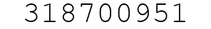 Number 318700951.