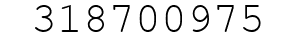 Number 318700975.