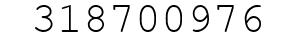 Number 318700976.
