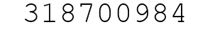 Number 318700984.