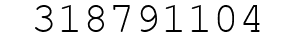 Number 318791104.